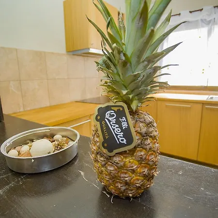 088 Katinka Magic Relax - Alicante Apartment *