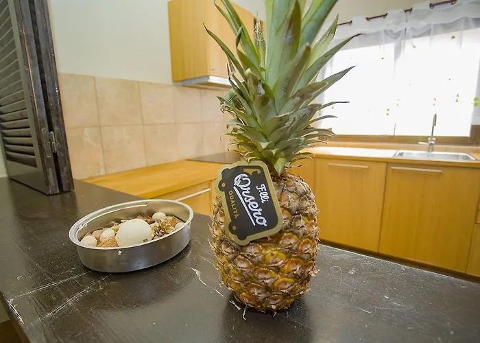 088 Katinka Magic Relax - Alicante 公寓 *